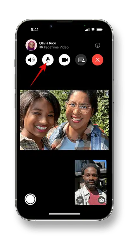 Ask Them to Mute on FaceTime