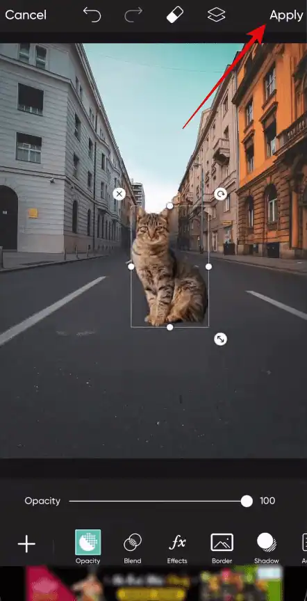 Open PicsArt > Click on + > Choose a background