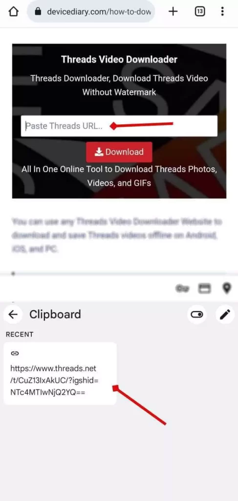 Go to Threads Video Downloader > Paste the Link in the box