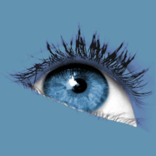 Download Sante DICOM Editor